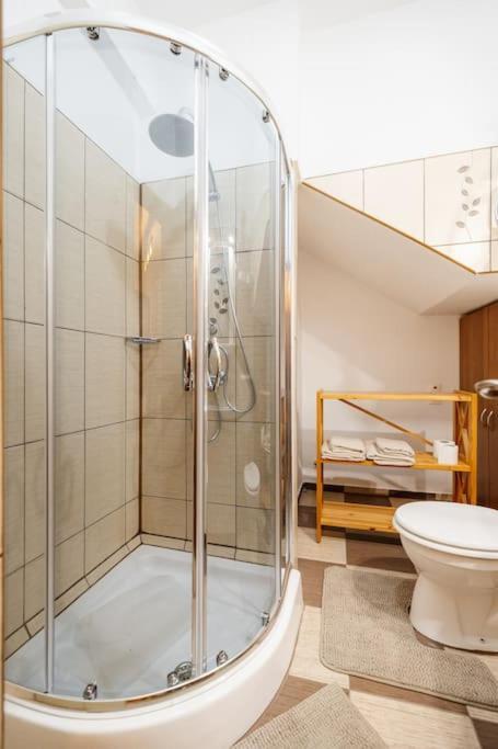 Апартаменты Casa Cu Turn Сибиу Экстерьер фото